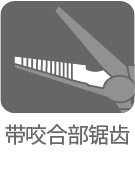 くわえ部ギザ付