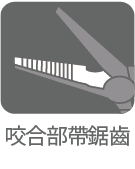 くわえ部ギザ付